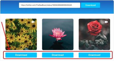 3. Download the video